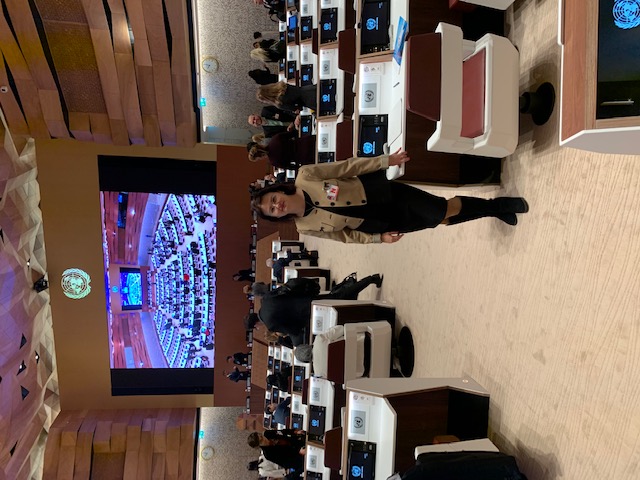 bssblocks image placeholder